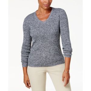 ✨NWT Dark Gray V-neck Sweater by Karen Scott (L)
